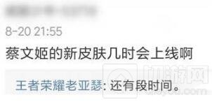 王者荣耀策划爆料：蔡文姬新皮肤上线时间待定 