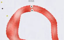 贪吃蛇大作战涓涓白金排位 反围杀战术讲解