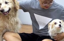 王者荣耀齐天大圣孙悟空手办原型设计师访谈