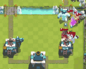 2017CCGS帽神归来 帽子一只登顶第一周冠军