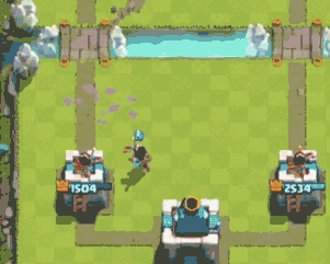 2017CCGS帽神归来 帽子一只登顶第一周冠军