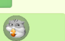 球球大作战我爱嚼松果儿怎么激活 激活条件