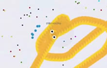 贪吃蛇大作战超长实录 完美击杀绕翻全场