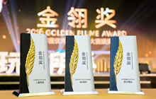 风云十二载 金翎奖见证游戏产业辉煌与精彩