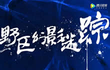 王者荣耀KPL决战之打野篇 谁才是野区霸主