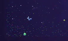 球球大作战2017BPL秋季赛循环赛第二轮第10场