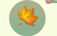 球球大作战枫叶孢子怎么得 枫叶获取方式分享