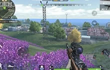 CF手游荒岛特训野外生存攻略 萌新打野须知