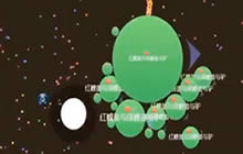 球球大作战生存一票39命 这个神烦狗真的烦