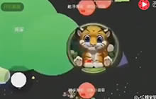 球球大作战杀马特的神测 有超神队友不用愁