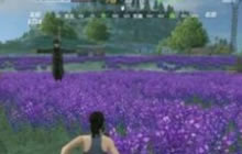 CF手游荒岛特训鱼雷枪刷新点 出现地点盘点