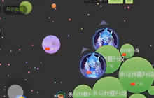 球球大作战主播车都翻了还有这样的粉丝福利