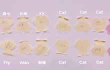 王者荣耀Cat高票当选QG队长 粉丝看字识人