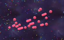 球球大作战大逃杀怎么玩 大逃杀实战技巧解说