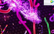 贪吃蛇大作战把大蛇当做攻击目标 成为蛇王