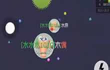 球球大作战皮皮虾我们走 霸屏皮皮虾才是好虾