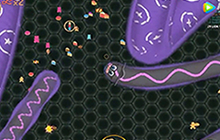 贪吃蛇大作战 被大蛇包围情况下靠你的走位