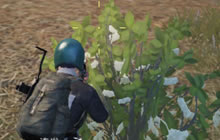 绝地求生刺激战场天谴跑圈细节 助你吃鸡成功