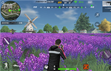 CF手游防守风车镇的方法 学会利用地形优势