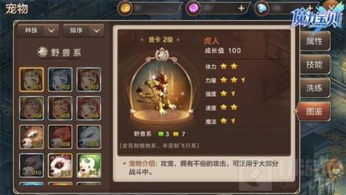 经典策略传承 魔力宝贝手游回合战斗烧脑不停