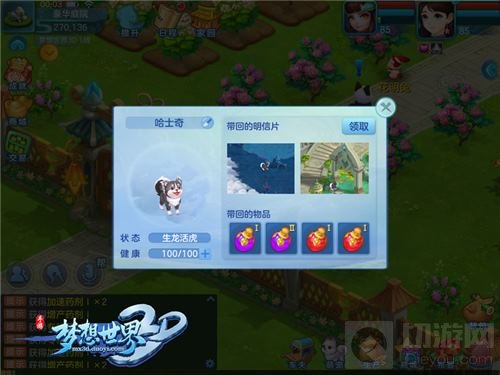 佛系猫狗旅行日记 梦想世界3D宠物明信片介绍