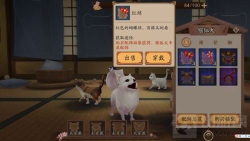 萌宠降临 《阴阳师》全新小动物银狐犬登场