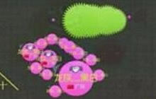 球球大作战怎么刷刺球 刷刺球技巧全面解析