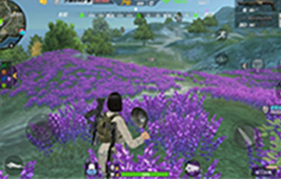 CF手游生存特训 西部丘陵生存特训搜集装备指南