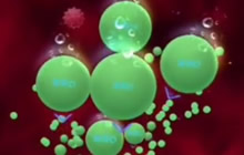 球球大作战大逃杀对战解说 大逃杀决赛对战