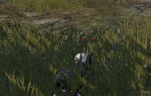 刺激战场黑色二级头比白色二级头更加隐蔽吗