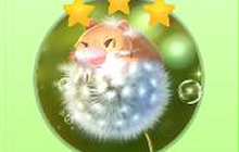 球球大作战会员折扣皮肤有哪些 折扣皮肤介绍