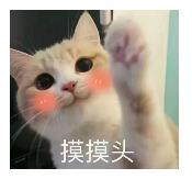 CF手游三周年欢乐谷生日会 线下活动开启招募