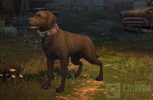 明日之后宠物狗有什么作用 宠物狗作用说明