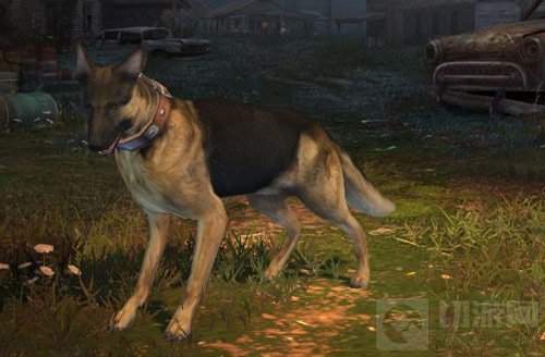 明日之后宠物狗有什么作用 宠物狗作用说明