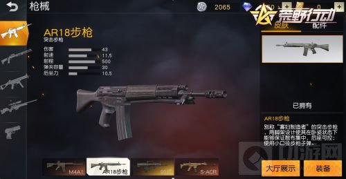 巷战称王 AR18步枪及汤姆逊冲锋枪空降荒野行动