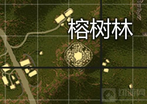 绝地求生刺激战场雨林地图玩法心得 新手必看