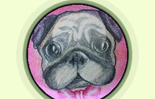 球球大作战关键词汪星人怎么得 皮肤获取指南