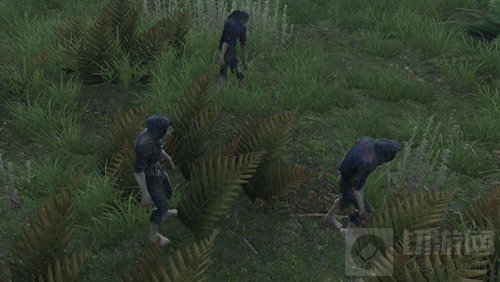 明日之后茅斯沼泽地图中有哪些地形 地形解析