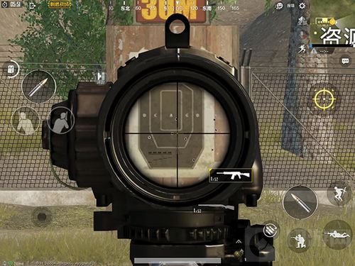 绝地求生刺激战场喷子中S686和S12K哪把好用