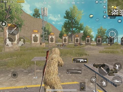 绝地求生刺激战场喷子中S686和S12K哪把好用