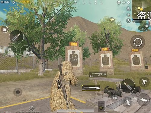 绝地求生刺激战场喷子中S686和S12K哪把好用