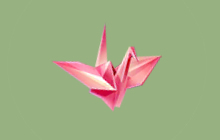 球球大作战超大奇妙宝箱最新光环与孢子皮肤