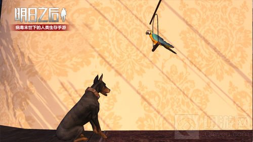 鹦鹉将被人类驯化 《明日之后》再添末日新伙伴
