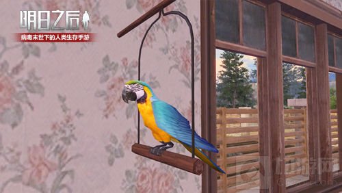 鹦鹉将被人类驯化 《明日之后》再添末日新伙伴
