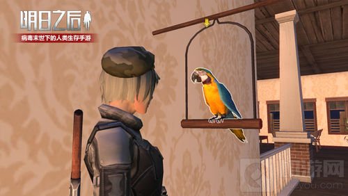 鹦鹉将被人类驯化 《明日之后》再添末日新伙伴