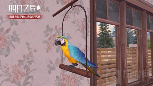 明日之后鹦鹉怎么训练 鹦鹉学舌训练小技巧