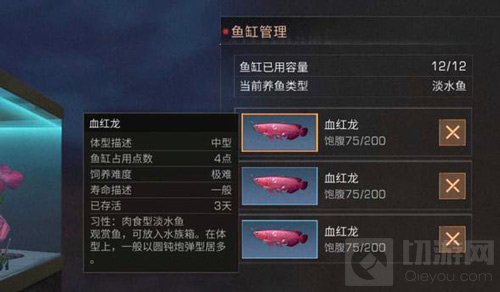 明日之后血红龙在哪里钓到 又可以在哪里卖