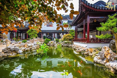 蜀门手游X斗鱼首档户外网综 带你欣赏蜀门美景