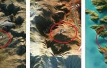 明日之后深渊地图病毒母体在哪 病毒位置介绍