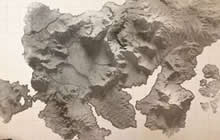 明日之后商会系统怎么解锁 商会玩法规则说明